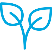 Chemical-Free & Residue-Free